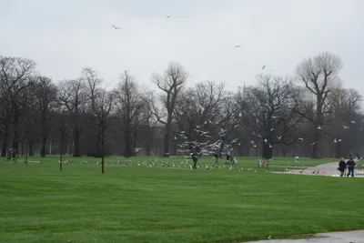 DSC_6194 (Large).JPG